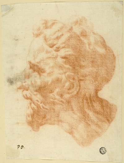 Kopf eines bärtigen Mannes im Profil nach links von Pietro Dandini