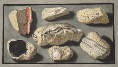Proben von Tuffstein gefunden in und um Herculaneum, Tafel XXXXV, aus 