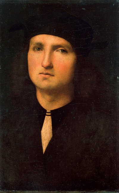 Porträt eines jungen Mannes, zwischen 1495 und 1500 von Pietro Perugino