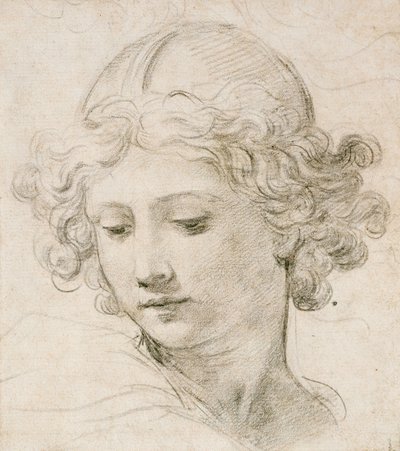 Kopf eines Engels, nach links unten blickend von Pietro da Cortona