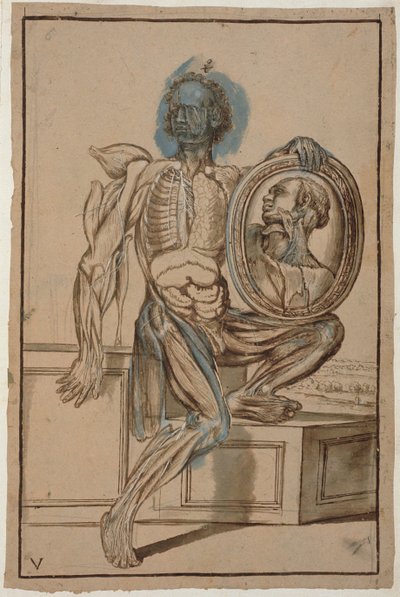 Ms Hunter 653 Tafel V Anatomische Zeichnung, ca. 1610 von Pietro da Cortona
