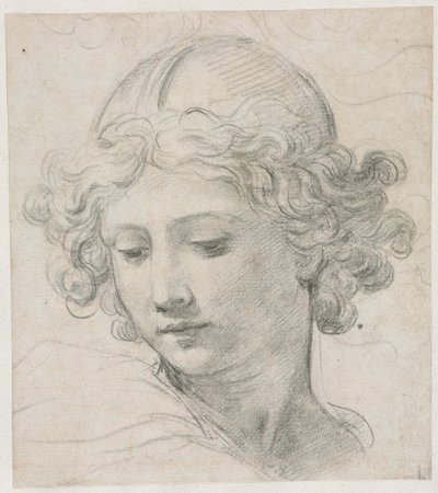 Studie für den Kopf des Erzengels Michael von Pietro da Cortona