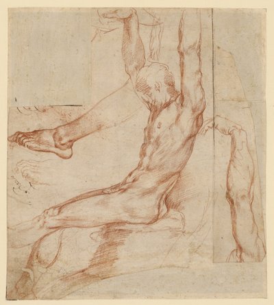 Studie eines Mannes mit verschiedenen Skizzen (recto); Studie eines drapierten Beins eines Mannes (verso) von Polidoro da Caravaggio (Polidoro Caldara)
