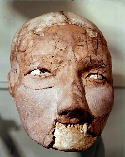 Neolithische Kunst: Menschlicher Schädel aus der Steinzeit (6000-4000 v. Chr.). Aus Jericho, Archäologisches Museum, Amman, Jordanien von Prehistoric Prehistoric