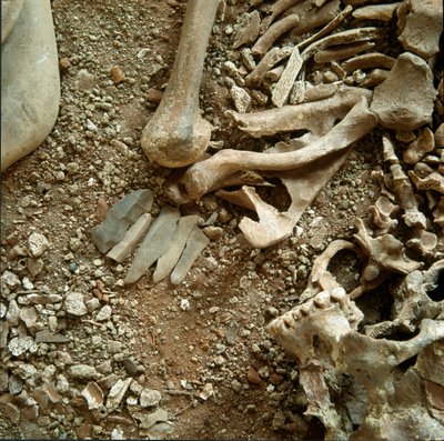 Vorgeschichte: Doppelte Bestattung von Erwachsenen und Kindern. Detailansicht des Grabbeigaben aus der Höhle Candid Arene (Finale Liguria), Ligurien. Mesolithikum, 7000-6000 v. Chr. Genua, Museo di Archeologia Ligure von Prehistoric Prehistoric