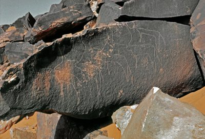 Felskunst: Grabstein mit Darstellung von Rindern. Tazina-Stil. Steinzeit 5000-2000 v. Chr. Taghit, Hochplateau von Hoggar, Algerien von Prehistoric Prehistoric