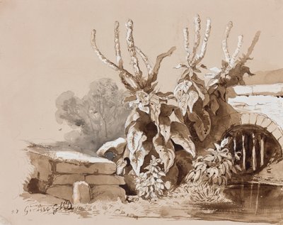Studie von Pflanzen an einem Graben, mit Ergänzungen eines Lehrers, 1856 von Prince Gaetano Maria Federico di Borbone