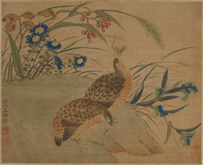 Zwei Wachteln, die Heuschrecken unter Blumen fressen von Qing Dynasty Chinese School