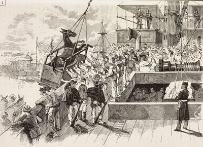 Maultier wird auf das Schiff Principe Amedeo verladen, italienische Expedition im Roten Meer, Italien (Stich) von Quinto Cenni