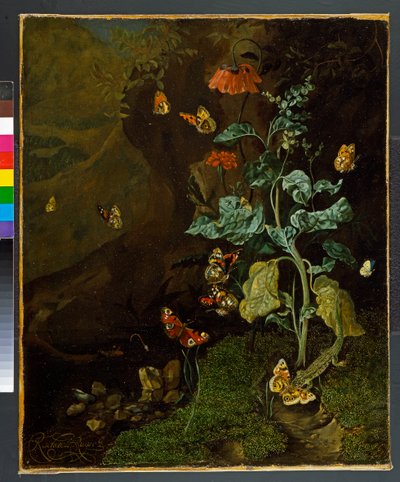 Stillleben mit Blumen, Schmetterlingen und einer Eidechse in einem Tal, vor 1750 von Rachel Ruysch