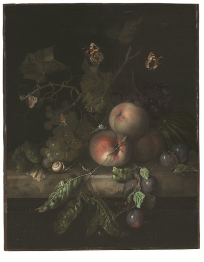 Pfirsiche, Trauben und Pflaumen mit einer Libelle, Schnecke, Raupe, Motten und anderen Insekten auf einem Steinsims von Rachel Ruysch