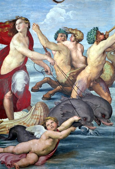 Galatea (Detail) von Raffaello Sanzio Raphael