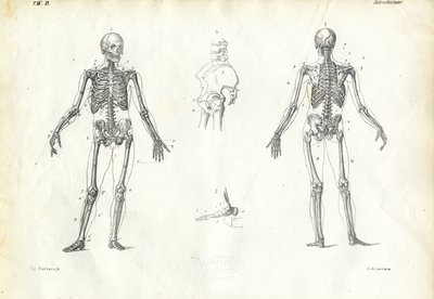 Menschliches Wesen, 1863-79 von Raimundo Petraroja
