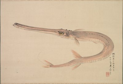 Nadelhecht von Raisho Nakajima