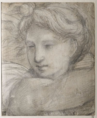 Raffaello Sanzio - Kopf eines Engels von Raphael (1483-1520), ca. 1520 - Schwarz- und Weißkreide auf Papier, 30,8x25,4 - Szépművészeti Múzeum, Budapest von Raphael