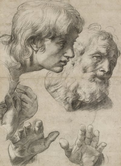 Studien der Köpfe von zwei Aposteln und ihrer Hände von Raphael