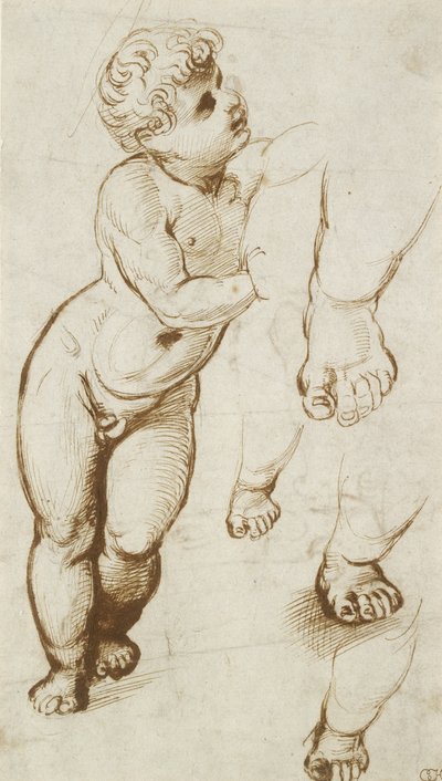 Das Jesuskind und andere Studien von Raphael
