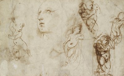 Verschiedene Studien, hauptsächlich für die Borghese-Beckford St. Katharina von Raphael