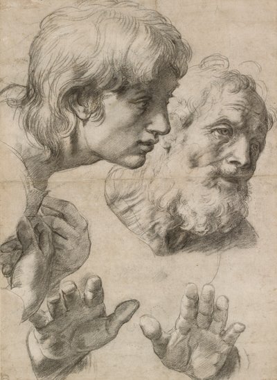 Studien der Köpfe von zwei Aposteln und ihrer Hände, 16. Jahrhundert von Raphael