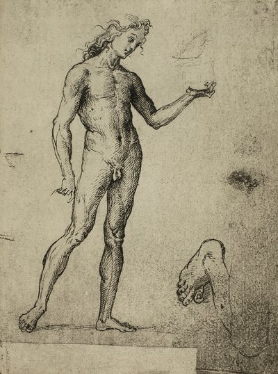 Männliche Aktstudie; Zeichnung von Raphael. Gallerie dell