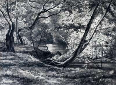 Unterholz mit Fluss von Raymond Bonnefon