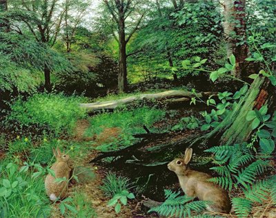 Im Wald - Ein Mittsommerabend von Raymond Booth