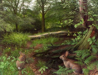 Im Wald - ein Mittsommerabend von Raymond Booth