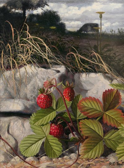 Erdbeeren von Raymond Booth