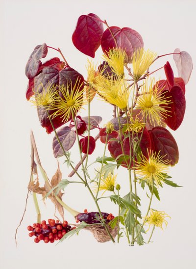 Ukon tachibana von Raymond Booth
