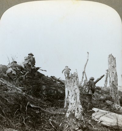 Angriff im Trones-Wald, Somme, Frankreich, Erster Weltkrieg, 1916 von Realistic Travels Publishers