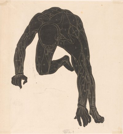 Anatomische Studie der Hals-, Arm- und Beinmuskeln eines Mannes im Silhouette von Reijer Stolk