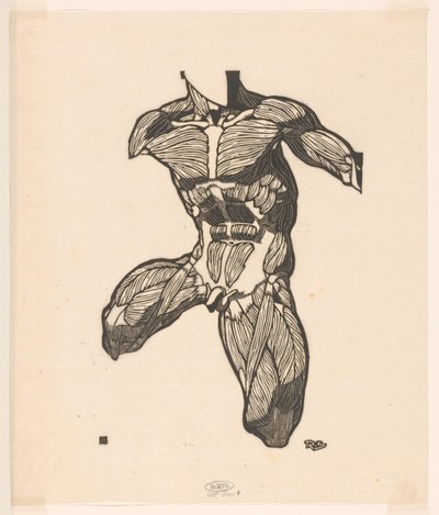 Anatomische Studie der Nacken-, Bauch- und Oberschenkelmuskeln eines Mannes von Reijer Stolk