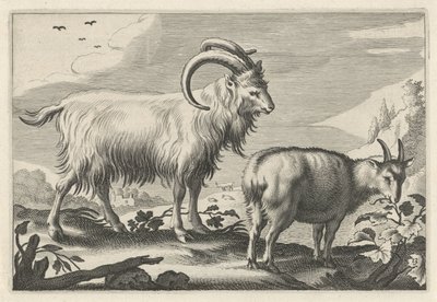 Hügelige Landschaft mit zwei Ziegen von Reinier van Persijn