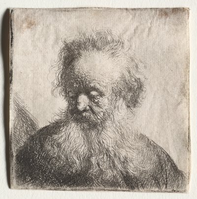 Alter Mann mit fließendem Bart: Büste von Rembrandt Harmensz. van Rijn