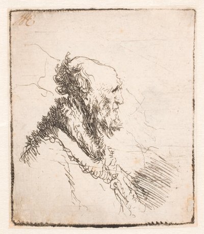 Glatzköpfiger alter Mann mit kurzem Bart, Profil nach rechts von Rembrandt van Rijn