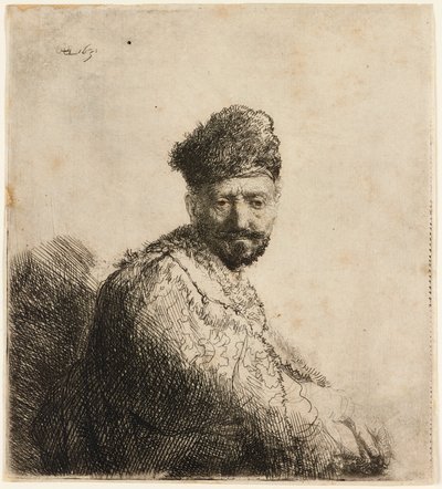 Bärtiger Mann mit orientalischer Pelzmütze: der Vater des Künstlers, 1631 von Rembrandt van Rijn