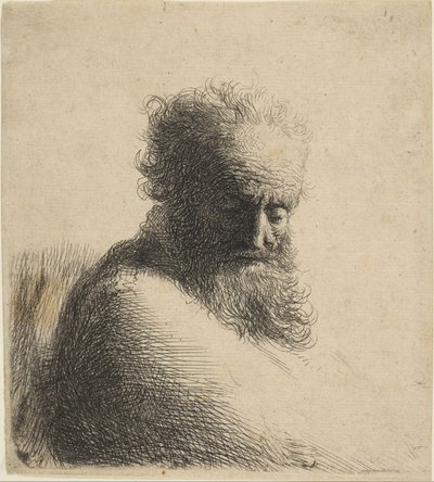 Büste eines alten bärtigen Mannes, der nach unten schaut, Dreiviertel rechts, 1631 von Rembrandt van Rijn