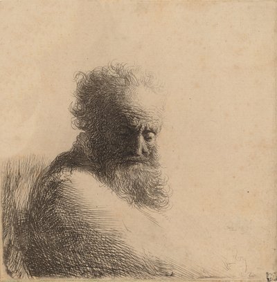 Büste eines alten bärtigen Mannes, der nach unten schaut, drei Viertel rechts, 1631 von Rembrandt van Rijn