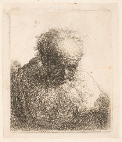 Büste eines alten Mannes mit fließendem Bart: Der Kopf nach vorne geneigt: Linke Schulter unbeschattet von Rembrandt van Rijn