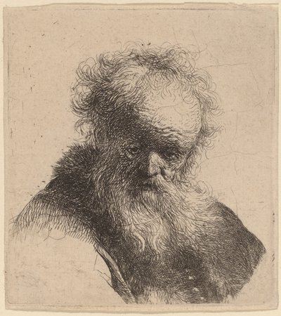 Büste eines alten Mannes mit fließendem Bart und weißem Ärmel von Rembrandt van Rijn