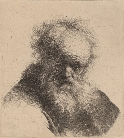 Büste eines alten Mannes mit fließendem Bart und weißem Ärmel, ca. 1630 von Rembrandt van Rijn