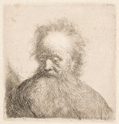 Büste eines alten Mannes mit fließendem Bart: Kopf fast aufrecht: Augen niedergeschlagen: leicht nach links blickend von Rembrandt van Rijn