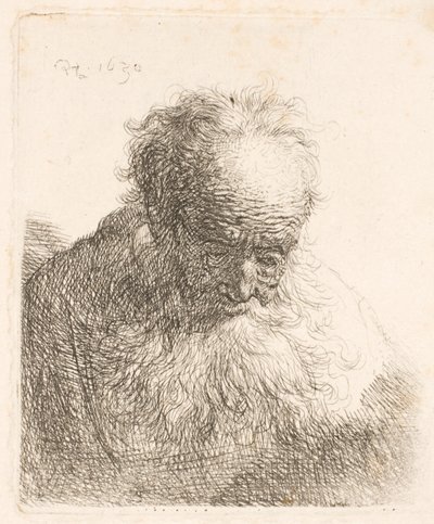 Büste eines alten Mannes mit fließendem Bart: der Kopf nach vorne geneigt: linke Schulter unbeschattet von Rembrandt van Rijn