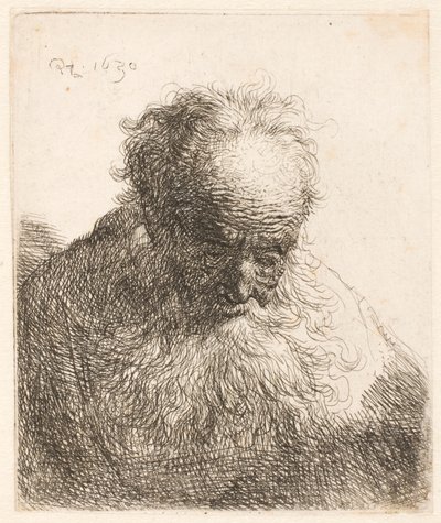 Büste eines alten Mannes mit fließendem Bart: der Kopf nach vorne geneigt: linke Schulter unbeschattet von Rembrandt van Rijn
