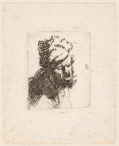 Kopf eines Mannes in einer Pelzmütze, der schreit von Rembrandt van Rijn