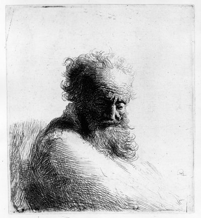 Kopf eines alten Mannes, 1631 von Rembrandt van Rijn