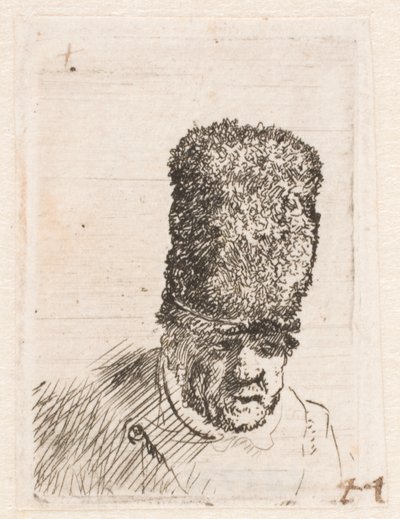 Kopf eines alten Mannes mit hoher Pelzmütze von Rembrandt van Rijn