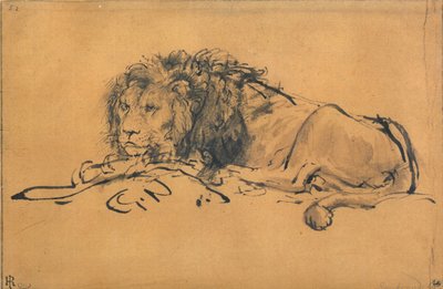 Löwe ruht, nach links gewandt, ca. 1650 von Rembrandt van Rijn
