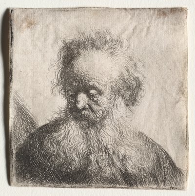 Alter Mann mit fließendem Bart: Büste von Rembrandt van Rijn