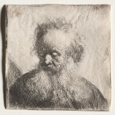 Alter Mann mit fließendem Bart: Büste, 1631 von Rembrandt van Rijn